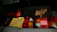 IMG-20160329-WA0032.jpeg
